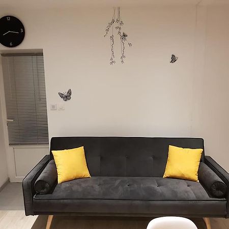 Apartament Studio Place De La Barre Le Cosy Mâcon Zewnętrze zdjęcie