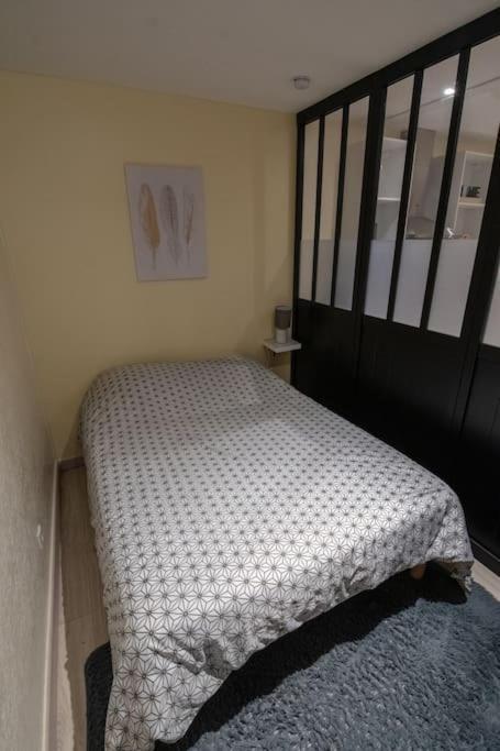 Apartament Studio Place De La Barre Le Cosy Mâcon Zewnętrze zdjęcie